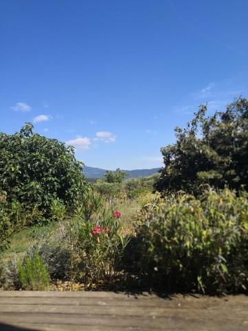 Villa Spacieuse Avec Terrasse Et Vue Mont Ventoux Entrechaux Exteriör bild