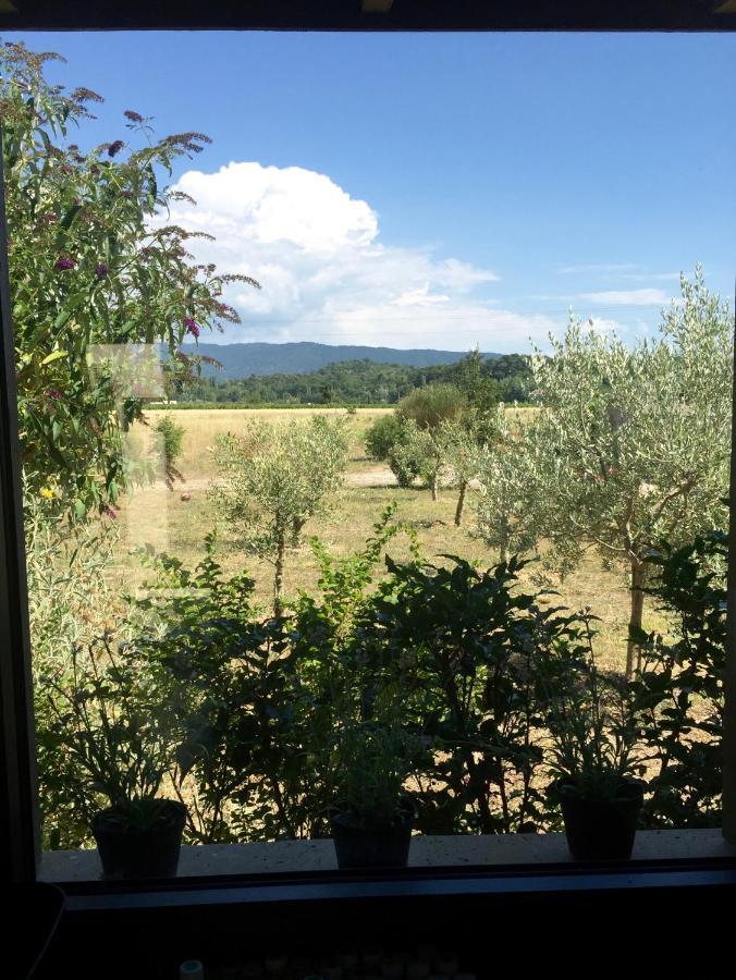 Villa Spacieuse Avec Terrasse Et Vue Mont Ventoux Entrechaux Exteriör bild