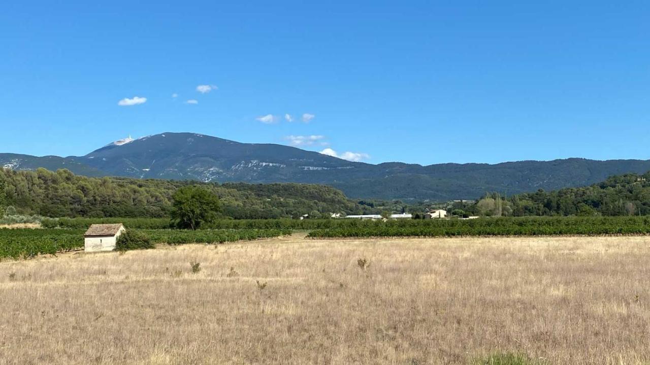 Villa Spacieuse Avec Terrasse Et Vue Mont Ventoux Entrechaux Exteriör bild
